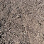 Dirt Delivery
