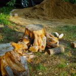 Stump Hauling