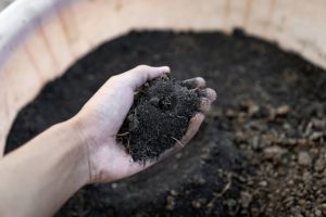 Boost Productivity With Topsoil Delivery